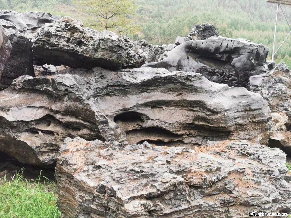 风景石、假山石大量有货,有需要的欢迎联系 - 新手上路 - 营口生活社区 - 营口28生活网 yk.28life.net