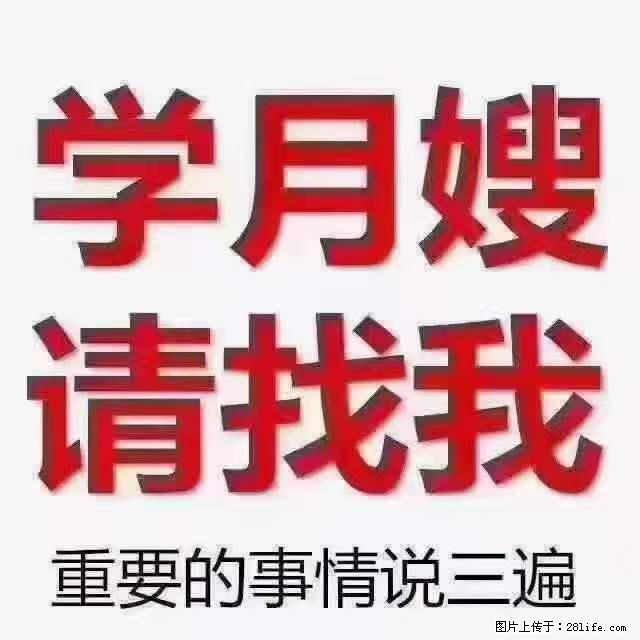 为什么要学习月嫂，育婴师？ - 其他广告 - 广告专区 - 营口分类信息 - 营口28生活网 yk.28life.net