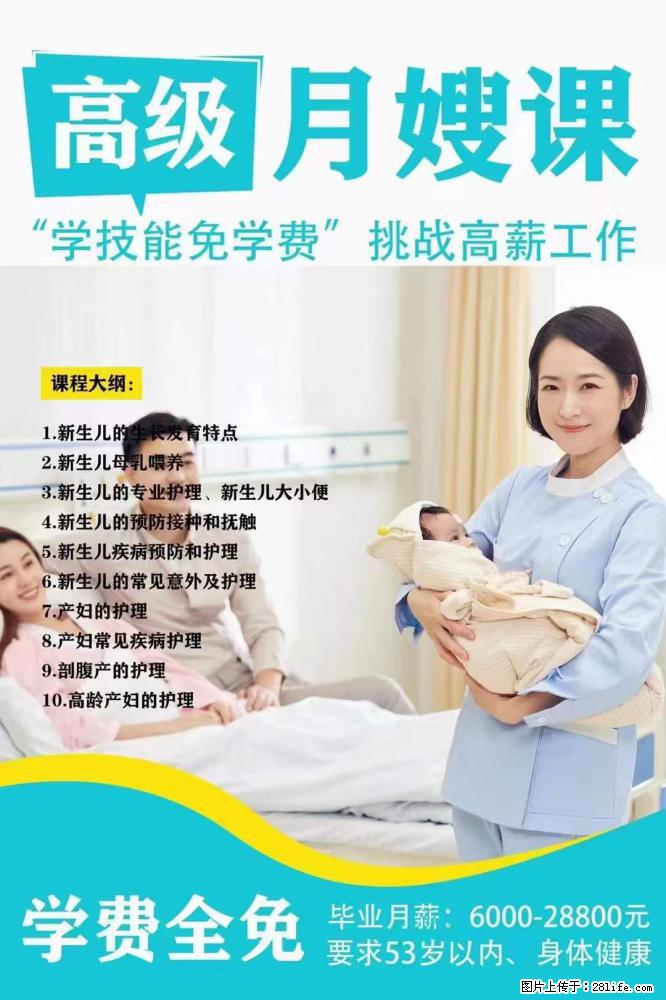 为什么要学习月嫂，育婴师？ - 其他广告 - 广告专区 - 营口分类信息 - 营口28生活网 yk.28life.net