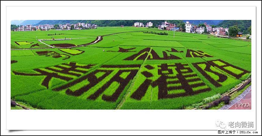 【春天，广西桂林灌阳县向您发出邀请！】开篇 - 游山玩水 - 营口生活社区 - 营口28生活网 yk.28life.net