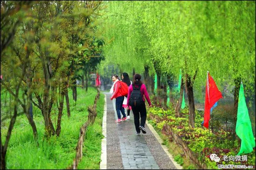 【春天，广西桂林灌阳县向您发出邀请！】江口老街又逢春 - 游山玩水 - 营口生活社区 - 营口28生活网 yk.28life.net