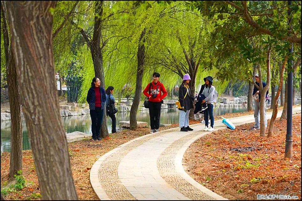 【春天，广西桂林灌阳县向您发出邀请！】江口老街又逢春 - 游山玩水 - 营口生活社区 - 营口28生活网 yk.28life.net