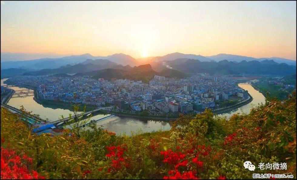 【春天，广西桂林灌阳县向您发出邀请！】登麒麟山，相约映山红 - 游山玩水 - 营口生活社区 - 营口28生活网 yk.28life.net