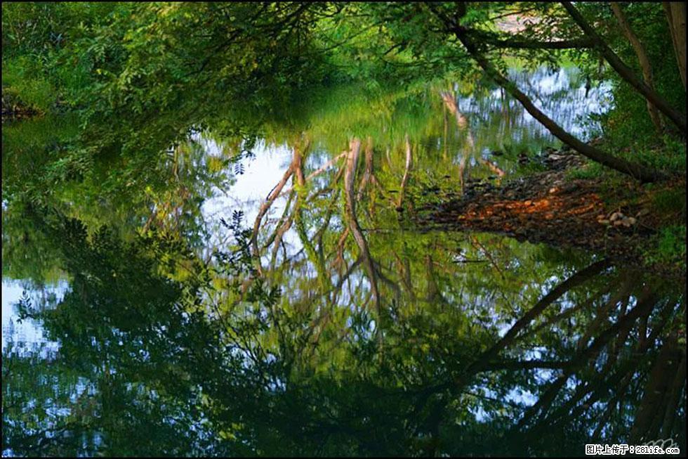 【春天，广西桂林灌阳县向您发出邀请！】熊家寨湿地公园 - 游山玩水 - 营口生活社区 - 营口28生活网 yk.28life.net