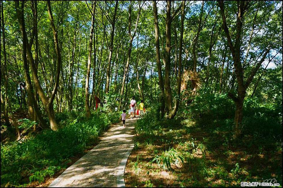 【春天，广西桂林灌阳县向您发出邀请！】熊家寨湿地公园 - 游山玩水 - 营口生活社区 - 营口28生活网 yk.28life.net