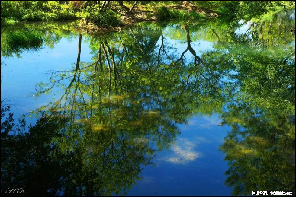 【春天，广西桂林灌阳县向您发出邀请！】熊家寨湿地公园 - 游山玩水 - 营口生活社区 - 营口28生活网 yk.28life.net