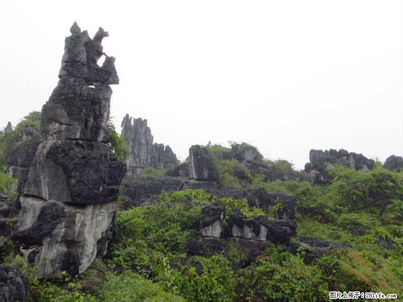 桂林旅游名城景点：灌阳文市石林 - 游山玩水 - 营口生活社区 - 营口28生活网 yk.28life.net