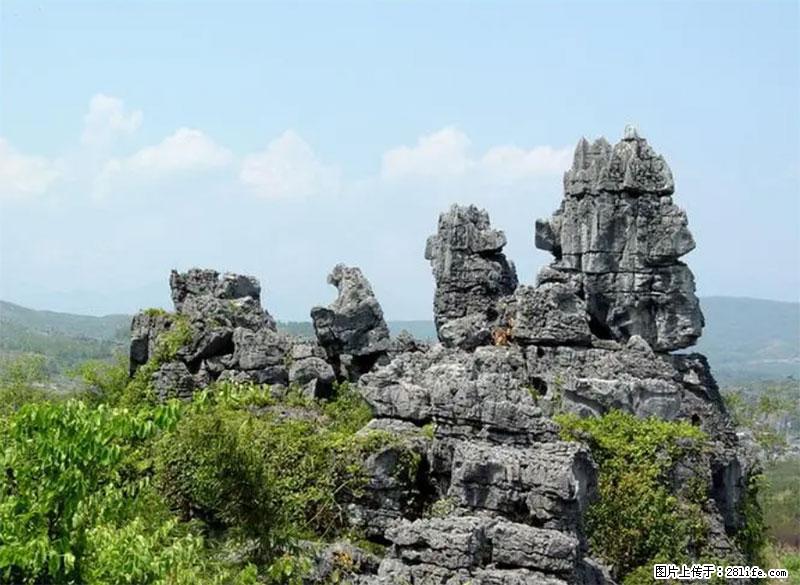 桂林旅游名城景点：灌阳文市石林 - 游山玩水 - 营口生活社区 - 营口28生活网 yk.28life.net