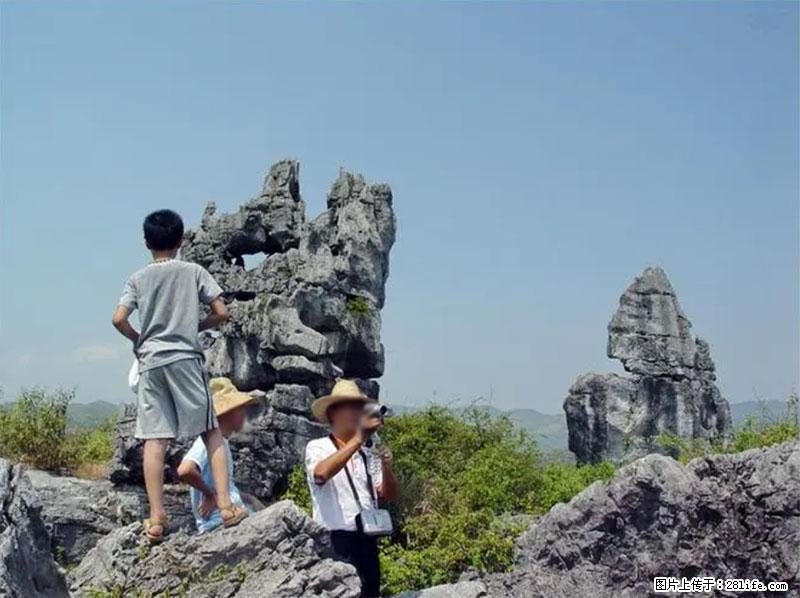 桂林旅游名城景点：灌阳文市石林 - 游山玩水 - 营口生活社区 - 营口28生活网 yk.28life.net