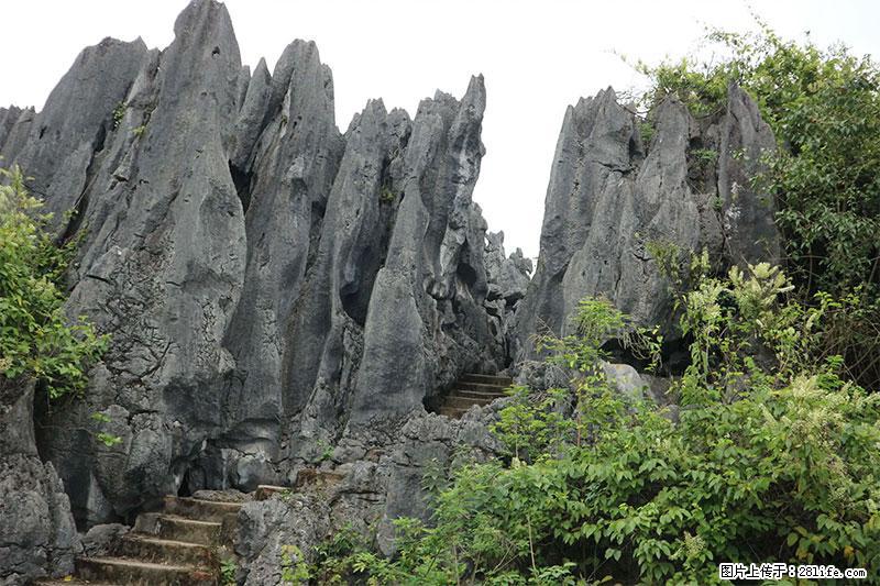 桂林旅游名城景点：灌阳文市石林 - 游山玩水 - 营口生活社区 - 营口28生活网 yk.28life.net