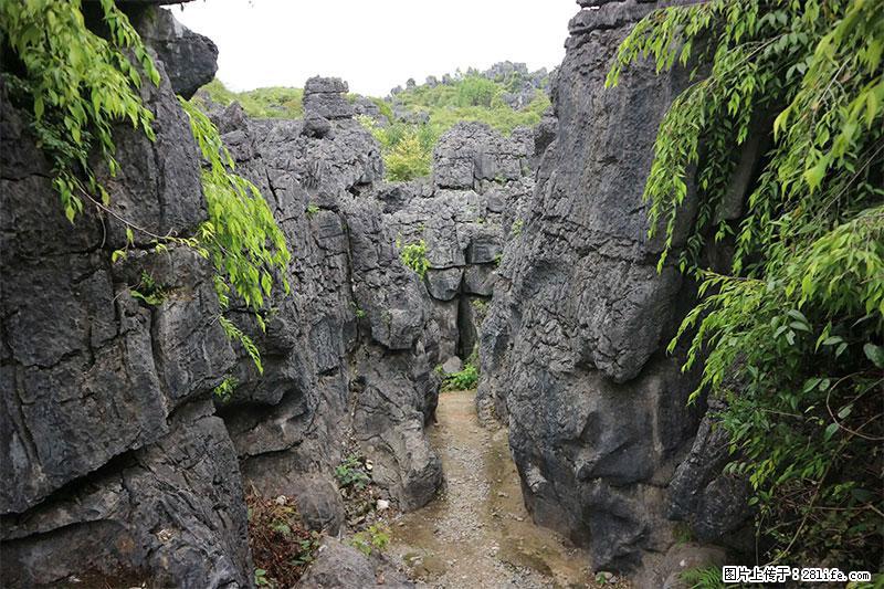 桂林旅游名城景点：灌阳文市石林 - 游山玩水 - 营口生活社区 - 营口28生活网 yk.28life.net