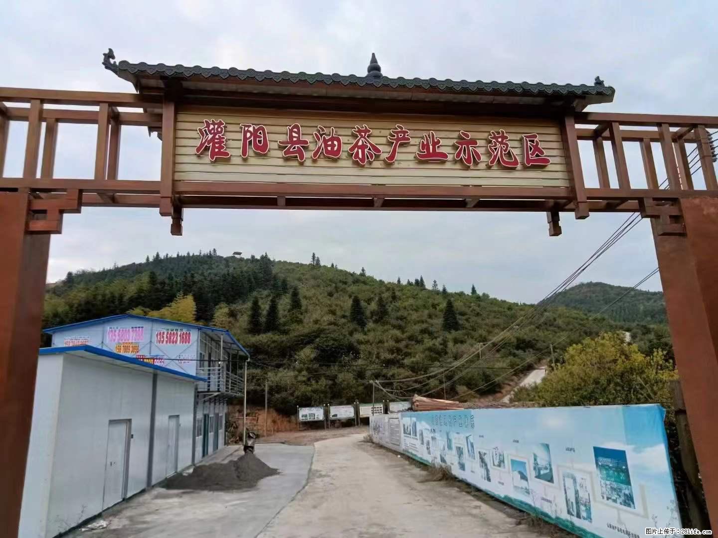 【灌阳县油茶产业示范区】一个有着充实的精神生活的人，对待身外之物自会有一种淡泊的态度 - 土特产 - 饮食特产 - 营口分类信息 - 营口28生活网 yk.28life.net