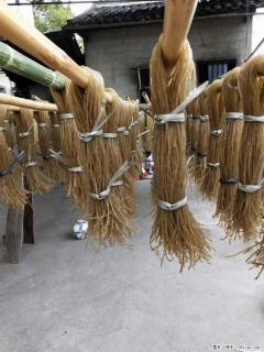 【灌阳正宗红薯粉】美女家里自己做的，干净卫生，假一赔十，价格合理，抢购电话：13737312895 - 营口28生活网 yk.28life.net