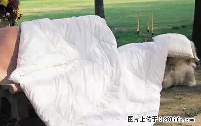 被子有异味？只要这样做，比晒太阳还强100倍！ - 家居生活 - 营口生活社区 - 营口28生活网 yk.28life.net