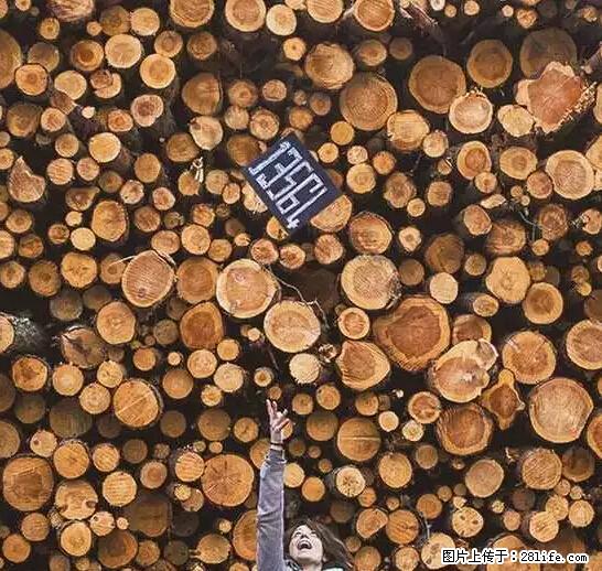辞掉工作周游世界？现在他们在洗厕所…… - 游山玩水 - 营口生活社区 - 营口28生活网 yk.28life.net