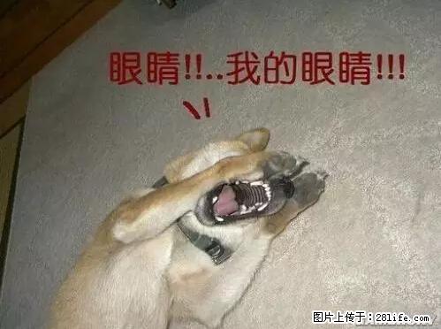 笑癫了!一女的怀孕三年未生,他终于忍不住了... - 娱乐八卦 - 营口生活社区 - 营口28生活网 yk.28life.net