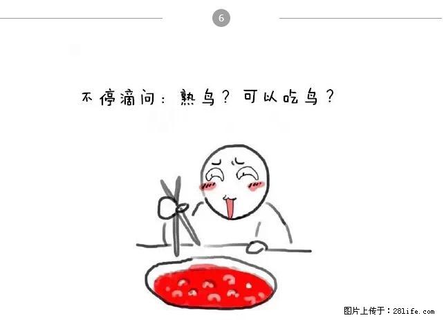 千万不要和这9种哈卵一起吃火锅! - 美食天地 - 营口生活社区 - 营口28生活网 yk.28life.net