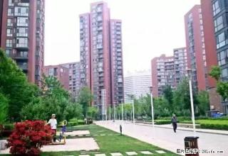 精装修 靠义乌 远离高铁 可长短租 - 营口28生活网 yk.28life.net
