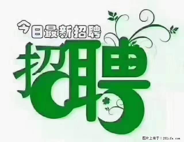 【招聘】产康师 - 职场交流 - 营口生活社区 - 营口28生活网 yk.28life.net