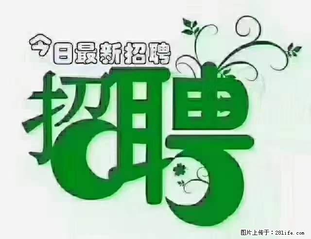 上海隔离酒店招人：55岁以下 男女不限 - 职场交流 - 营口生活社区 - 营口28生活网 yk.28life.net