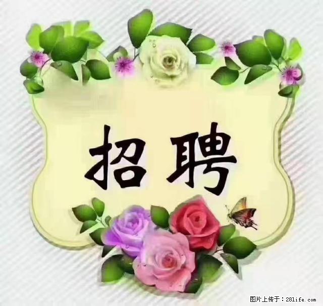 【招聘】住家育儿嫂，上户日期：4月4日，工作地址：上海 黄浦区 - 职场交流 - 营口生活社区 - 营口28生活网 yk.28life.net