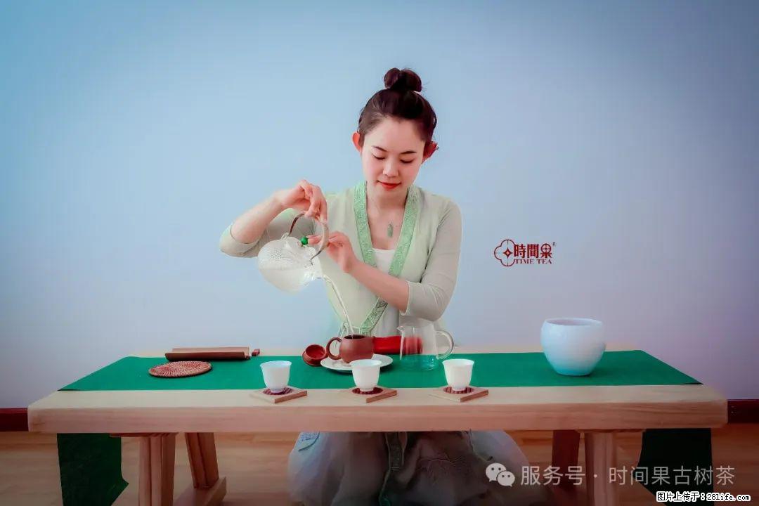 时间果百年古树龙珠普洱生茶 - 购物交流 - 营口生活社区 - 营口28生活网 yk.28life.net