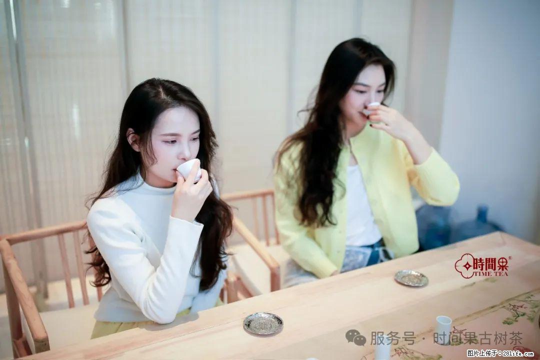 时间果百年古树龙珠普洱生茶 - 购物交流 - 营口生活社区 - 营口28生活网 yk.28life.net
