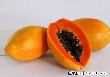 晕车、脚气、牙齿变黄、皮肤粗糙？学会这些三分钟搞定！ - 营口生活资讯 - 营口28生活网 yk.28life.net