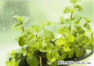 晕车、脚气、牙齿变黄、皮肤粗糙？学会这些三分钟搞定！ - 营口生活资讯 - 营口28生活网 yk.28life.net