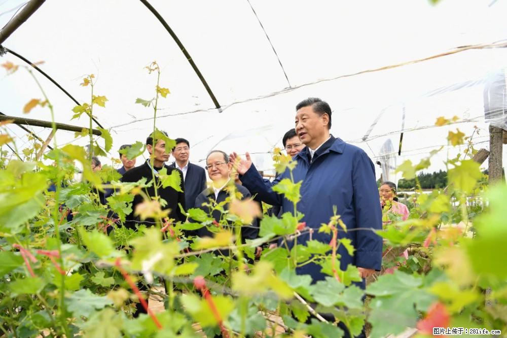 习近平赴广西考察调研 - 营口生活资讯 - 营口28生活网 yk.28life.net