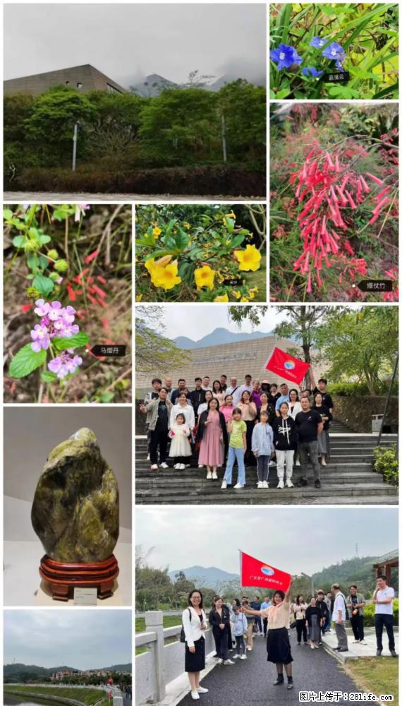 “粤灌文化 美好生活”油茶文化主题活动在广东深圳成功举办 - 营口生活资讯 - 营口28生活网 yk.28life.net