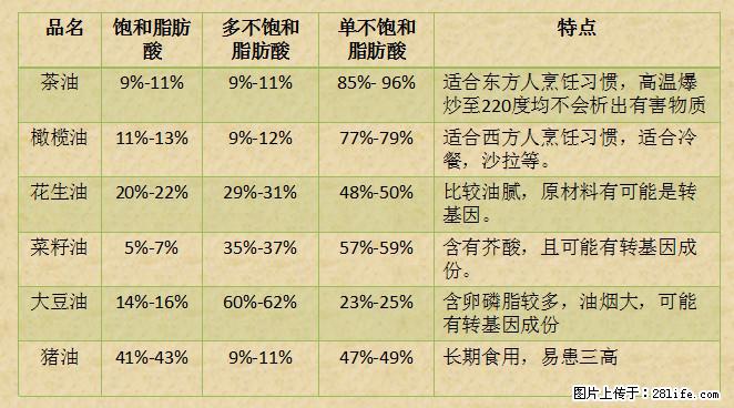 揭秘茶油的5大核心营养成分！被称为人体健康的“守护盾”！ - 营口生活资讯 - 营口28生活网 yk.28life.net