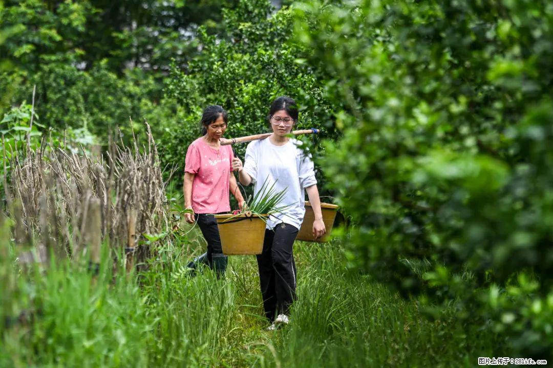 全网追的“扁担女孩”,找了一份暑假工,时薪12元 - 营口生活资讯 - 营口28生活网 yk.28life.net