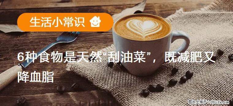 【生活小常识】6种食物是天然“刮油菜”，既减肥又降血脂 - 营口生活资讯 - 营口28生活网 yk.28life.net