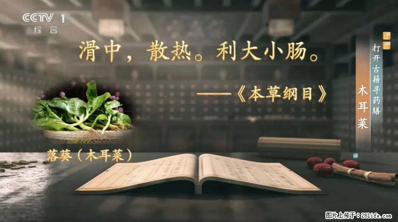 比牛奶补钙还厉害！凉血解毒、稳血糖...这菜冬天必吃，很多人却当草 - 营口生活资讯 - 营口28生活网 yk.28life.net