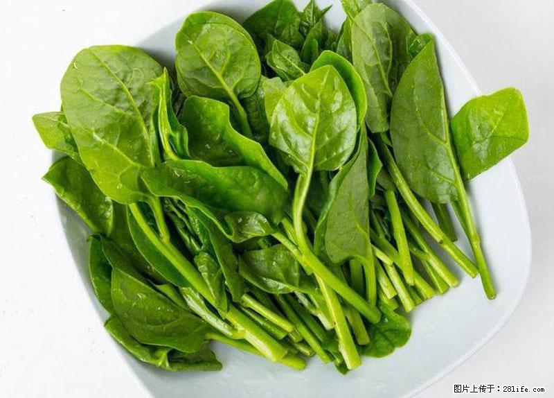 这些蔬菜是“天然钙片”，这6种被医生重点推荐 - 营口生活资讯 - 营口28生活网 yk.28life.net