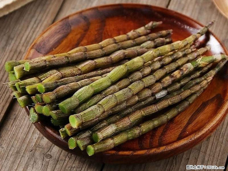 铁皮石斛的作用与功能主治 - 营口生活资讯 - 营口28生活网 yk.28life.net