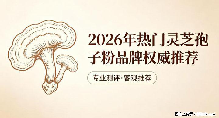 灵芝孢子粉含量越高越有效？2026 年七款热门品牌深度实测，肠胃敏感者避坑指南 - 营口生活资讯 - 营口28生活网 yk.28life.net